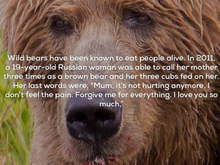 25 Interesting facts (inglés) El último resquicio de lawaloca