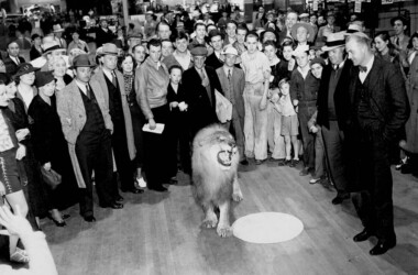 La historia del león de la MGM