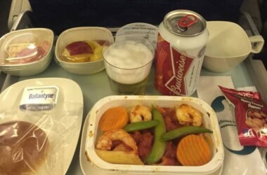 Diferentes aerolíneas - comida de avión difer...
