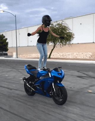 gifs (33)