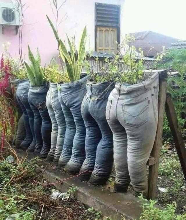 wtf (3)